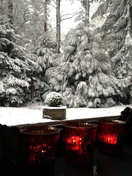 Magical Cottage In The Woods Baarn Εξωτερικό φωτογραφία