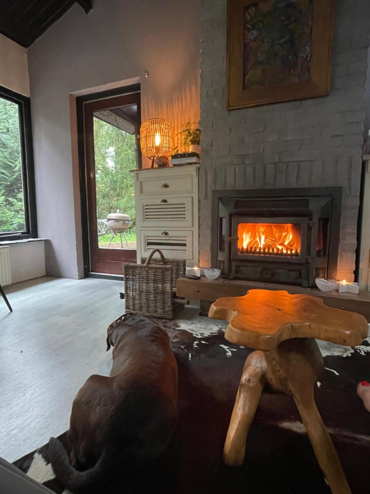 Magical Cottage In The Woods Baarn Εξωτερικό φωτογραφία